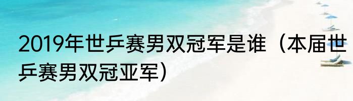 2019年世乒赛男双冠军是谁（本届世乒赛男双冠亚军）