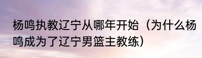 杨鸣执教辽宁从哪年开始（为什么杨鸣成为了辽宁男篮主教练）