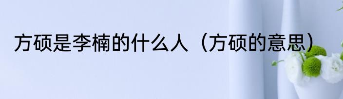 方硕是李楠的什么人（方硕的意思）