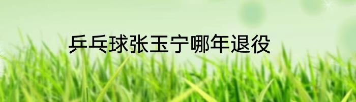 乒乓球张玉宁哪年退役