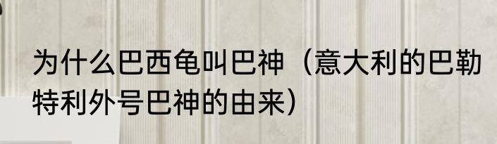 为什么巴西龟叫巴神（意大利的巴勒特利外号巴神的由来）