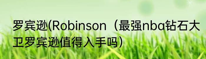 罗宾逊(Robinson（最强nba钻石大卫罗宾逊值得入手吗）
