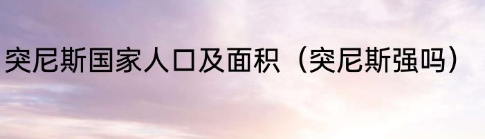 突尼斯国家人口及面积（突尼斯强吗）