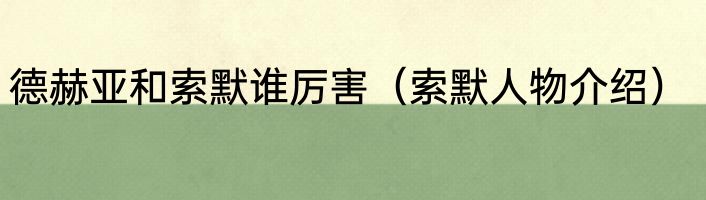 德赫亚和索默谁厉害（索默人物介绍）