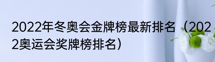2022年冬奥会金牌榜最新排名（2022奥运会奖牌榜排名）