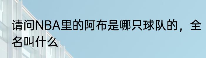 请问NBA里的阿布是哪只球队的，全名叫什么