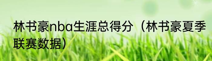 林书豪nba生涯总得分（林书豪夏季联赛数据）