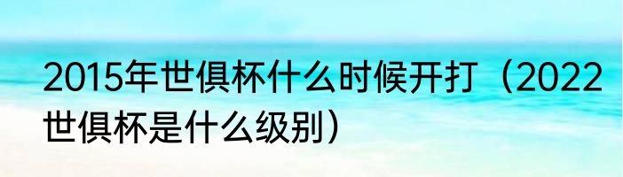 2015年世俱杯什么时候开打（2022世俱杯是什么级别）