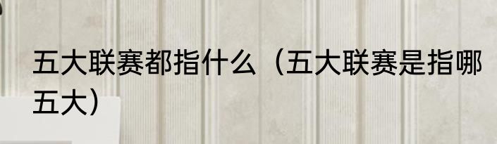 五大联赛都指什么（五大联赛是指哪五大）
