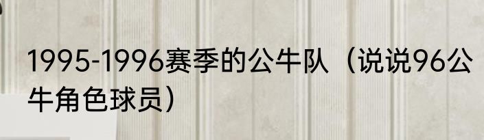 1995-1996赛季的公牛队（说说96公牛角色球员）