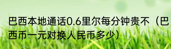巴西本地通话0.6里尔每分钟贵不（巴西币一元对换人民币多少）