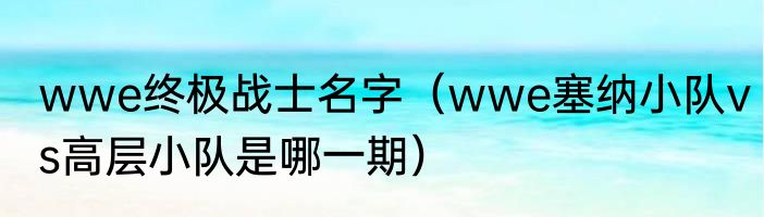 wwe终极战士名字（wwe塞纳小队vs高层小队是哪一期）