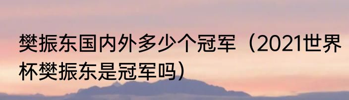 樊振东国内外多少个冠军（2021世界杯樊振东是冠军吗）