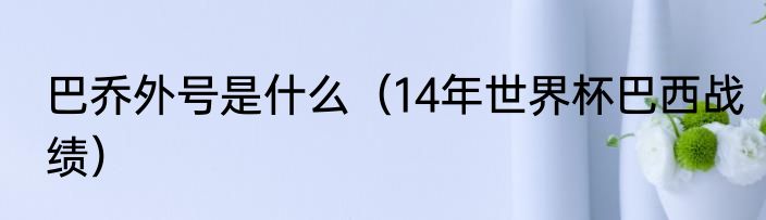 巴乔外号是什么（14年世界杯巴西战绩）