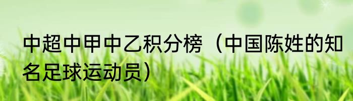 中超中甲中乙积分榜（中国陈姓的知名足球运动员）