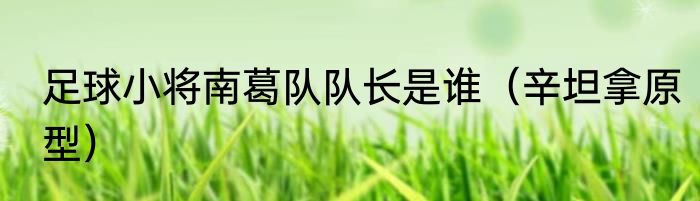 足球小将南葛队队长是谁（辛坦拿原型）