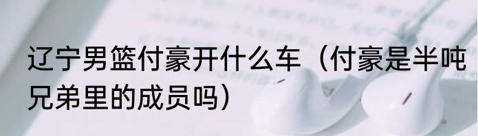 辽宁男篮付豪开什么车（付豪是半吨兄弟里的成员吗）