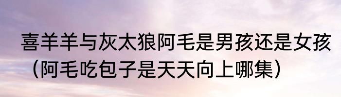 喜羊羊与灰太狼阿毛是男孩还是女孩（阿毛吃包子是天天向上哪集）