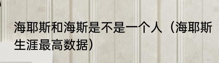 海耶斯和海斯是不是一个人（海耶斯生涯最高数据）