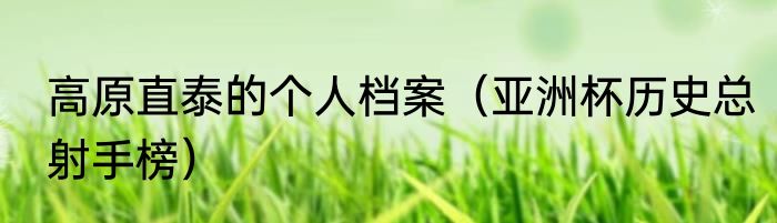 高原直泰的个人档案（亚洲杯历史总射手榜）