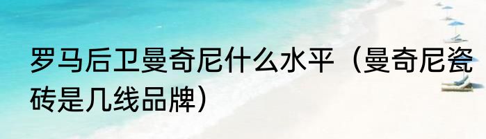 罗马后卫曼奇尼什么水平（曼奇尼瓷砖是几线品牌）