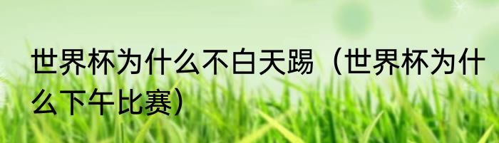 世界杯为什么不白天踢（世界杯为什么下午比赛）