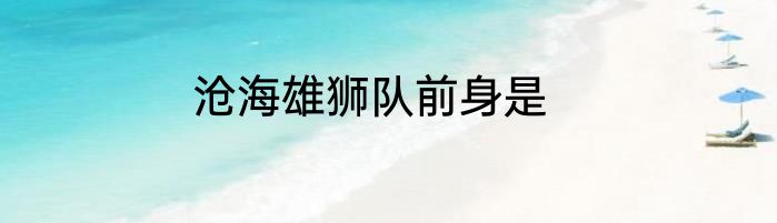 沧海雄狮队前身是