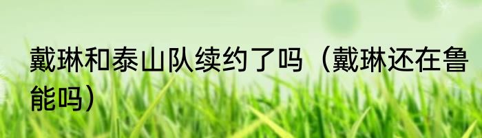 戴琳和泰山队续约了吗（戴琳还在鲁能吗）