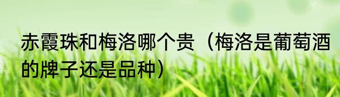 赤霞珠和梅洛哪个贵（梅洛是葡萄酒的牌子还是品种）