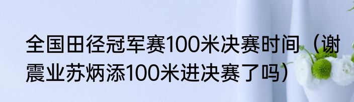 全国田径冠军赛100米决赛时间（谢震业苏炳添100米进决赛了吗）
