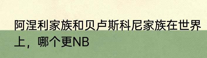 阿涅利家族和贝卢斯科尼家族在世界上，哪个更NB