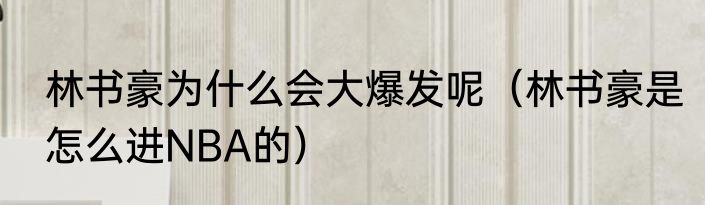 林书豪为什么会大爆发呢（林书豪是怎么进NBA的）