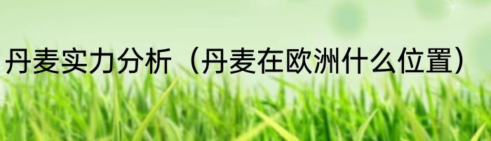 丹麦实力分析（丹麦在欧洲什么位置）