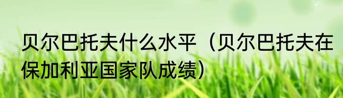 贝尔巴托夫什么水平（贝尔巴托夫在保加利亚国家队成绩）