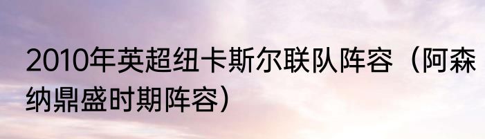 2010年英超纽卡斯尔联队阵容（阿森纳鼎盛时期阵容）