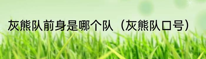 灰熊队前身是哪个队（灰熊队口号）