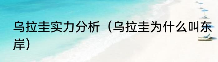 乌拉圭实力分析（乌拉圭为什么叫东岸）