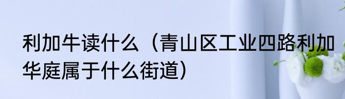 利加牛读什么（青山区工业四路利加华庭属于什么街道）