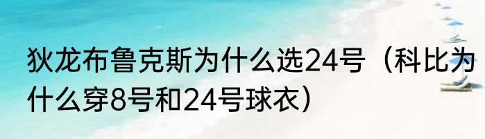 狄龙布鲁克斯为什么选24号（科比为什么穿8号和24号球衣）