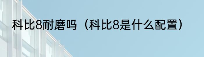 科比8耐磨吗（科比8是什么配置）