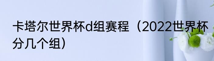 卡塔尔世界杯d组赛程（2022世界杯分几个组）