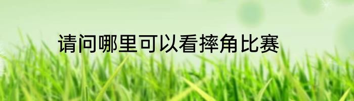 请问哪里可以看摔角比赛