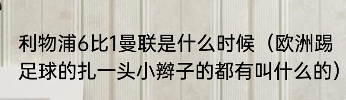 利物浦6比1曼联是什么时候（欧洲踢足球的扎一头小辫子的都有叫什么的）