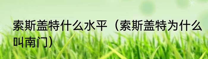 索斯盖特什么水平（索斯盖特为什么叫南门）