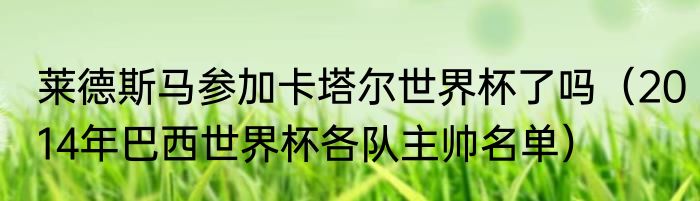 莱德斯马参加卡塔尔世界杯了吗（2014年巴西世界杯各队主帅名单）