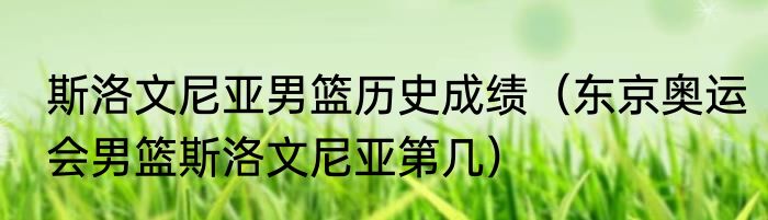 斯洛文尼亚男篮历史成绩（东京奥运会男篮斯洛文尼亚第几）