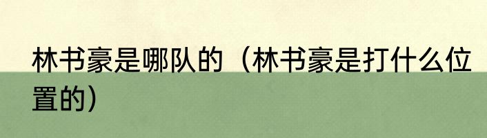 林书豪是哪队的（林书豪是打什么位置的）