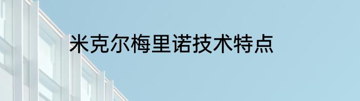 米克尔梅里诺技术特点