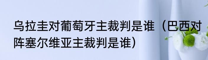 乌拉圭对葡萄牙主裁判是谁（巴西对阵塞尔维亚主裁判是谁）