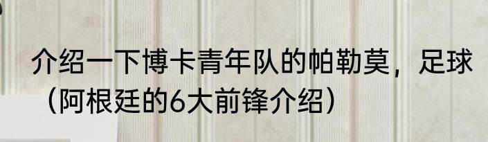 介绍一下博卡青年队的帕勒莫，足球（阿根廷的6大前锋介绍）